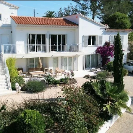 Prestige Belvedere